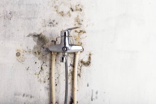 Best Mold Testing  in Broxton, GA