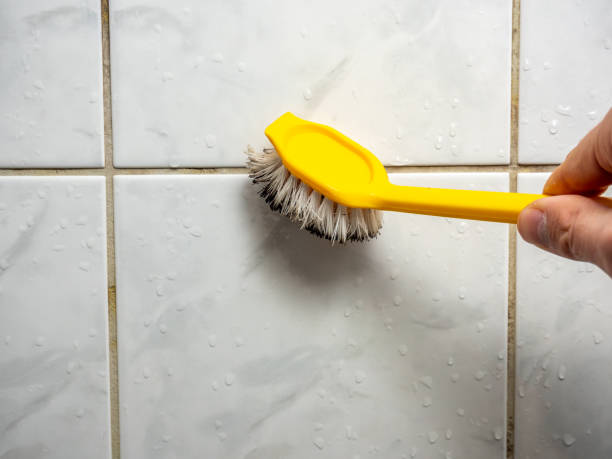 Best Mold Removal Specialists  in Broxton, GA