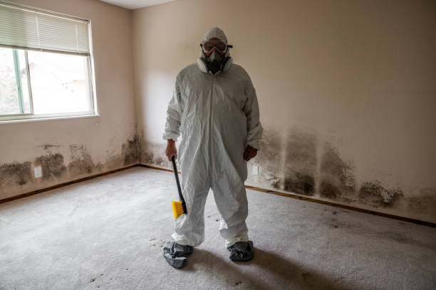 Best Certified Mold Removal  in Broxton, GA
